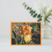 Carte Postale Défi olympique (Debout devant)