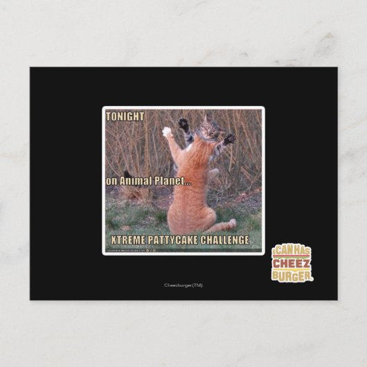 Carte Postale Défi Xtreme PattyCake (Devant)