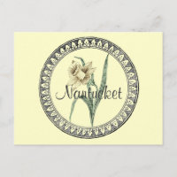 Défilé de Nantucket Daffodil