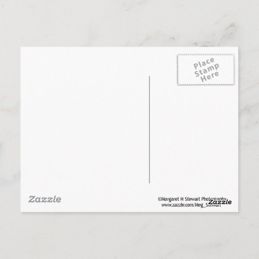 Carte Postale Définition du Courage (Dos)