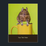 Carte Postale Degu assis sur une Mug<br><div class="desc">L'avant de cette carte postale est ornée d'une photo d'un degu assis sur le dessus d'une tasse jaune contre un arrière - plan vert. Sous l'image se trouve l'espace pour écrire votre propre petit message personnel. Degus sont des rongeurs caviomorphe originaires du Chili, mais ont augmenté en popularité dans le...</div>