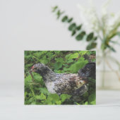 Carte Postale Déjeuner (Debout devant)