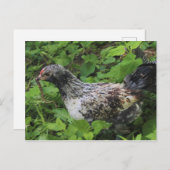 Carte Postale Déjeuner (Devant / Derrière)