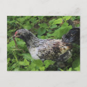 Carte Postale Déjeuner (Devant)