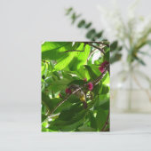 Carte Postale Déjeuner à l'arbre (Debout devant)