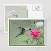 Carte Postale Déjeuner en étoile (Devant / Derrière)