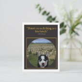 Carte Postale Déjeuner gratuit (Debout devant)