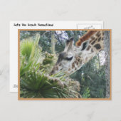 Carte Postale Déjeunons un jour ! (Devant / Derrière)