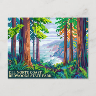 Carte Postale Del Norte Coast Redwoods State Park Californie