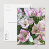 Carte Postale Del Piero Tulips (Devant / Derrière)