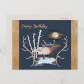 Carte postale d'élan mâle (Devant / Derrière)