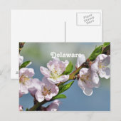 Carte Postale Delaware (Devant / Derrière)