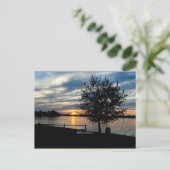 Carte Postale Delaware (Debout devant)