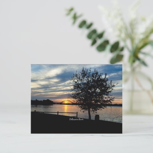 Carte Postale Delaware (Debout devant)