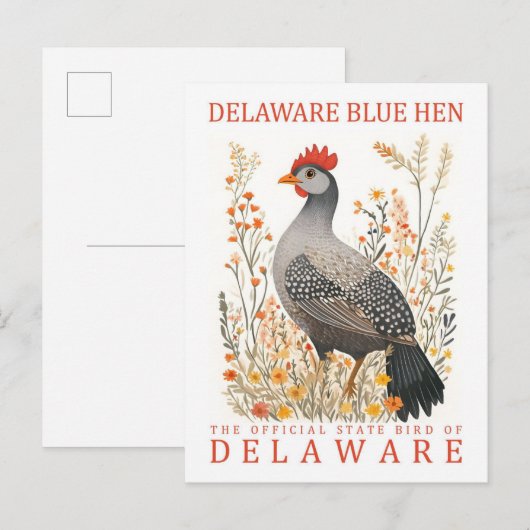 Carte Postale Delaware Blue Hen Bird of Delaware USA Travel (Devant / Derrière)