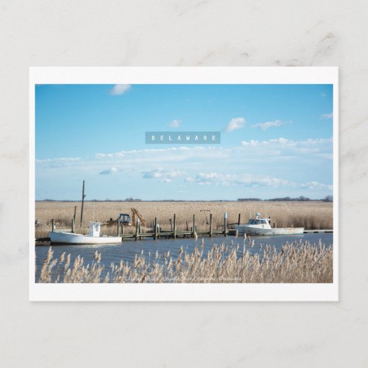 Carte Postale Delaware rurale et sauvage. (Devant)