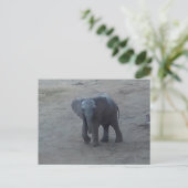 Carte postale d'éléphant de bébé - par la savane (Debout devant)