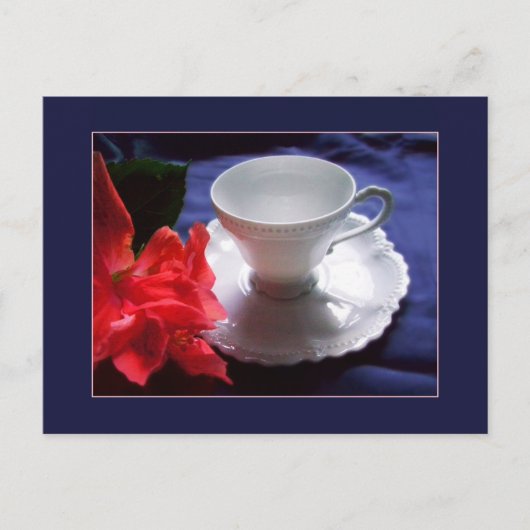 Carte Postale Délicat blanc Demitasse (Devant)