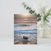 Carte Postale Délicat coucher de soleil sur la plage (Debout devant)