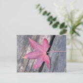 Carte Postale délicatement (Debout devant)