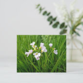 Carte Postale Délice de fleur sauvage (Debout devant)