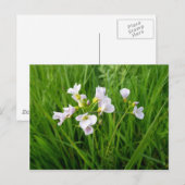 Carte Postale Délice de fleur sauvage (Devant / Derrière)