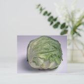 Carte Postale Délicieuse laitue Iceberg (Debout devant)