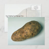 Carte Postale Délicieuse pomme de terre (Devant / Derrière)