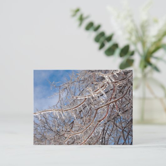 Carte Postale Delmar Loop en décembre (Debout devant)