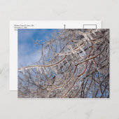 Carte Postale Delmar Loop en décembre (Devant / Derrière)