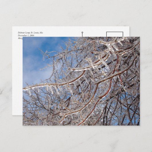 Carte Postale Delmar Loop en décembre (Devant / Derrière)