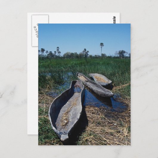 Carte Postale Delta de l'Okavango à Mokoro, Botswana (Devant / Derrière)