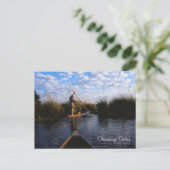 Carte Postale Delta d'Okavango (Debout devant)