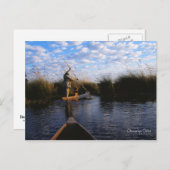 Carte postale Delta Okavango (Devant / Derrière)