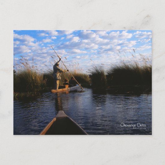 Carte postale Delta Okavango (Devant)