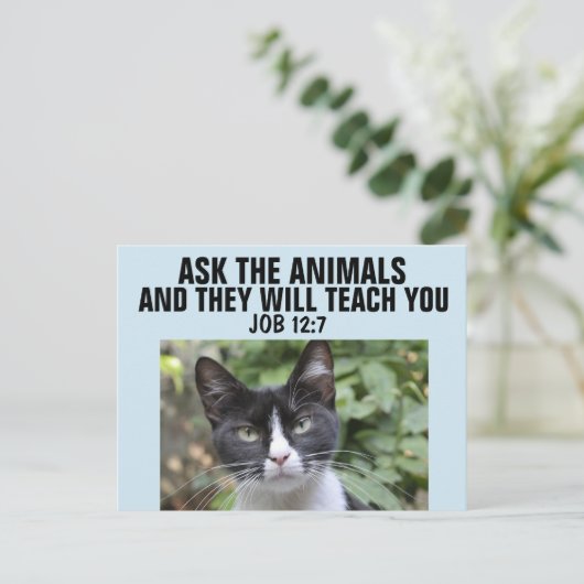 CARTE POSTALE DEMANDEZ AUX ANIMAUX QU'ILS VOUS ENSEIGNERONT, CAR (Debout devant)