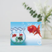 Carte Postale Demekin -Telescope Goldfish- (Debout devant)