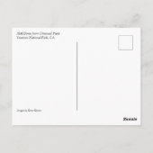 Carte Postale Demi-dôme de Olmstead Point, Yosemite, CA (Dos)