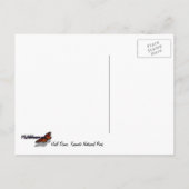 Carte Postale Demi-dôme du côté du parc national Yosemite (Dos)