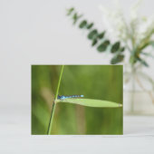 Carte Postale Demoiselle (Debout devant)
