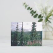 Carte Postale Denali, Alaska (Debout devant)