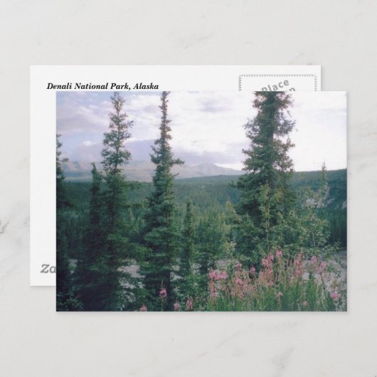 Carte Postale Denali, Alaska (Devant / Derrière)