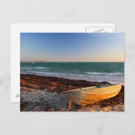 Carte Postale Denham - Australie occidentale (Devant / Derrière)