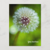 Carte postale Dent-de-lion (Devant)