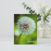 Carte postale Dent-de-lion (Debout devant)