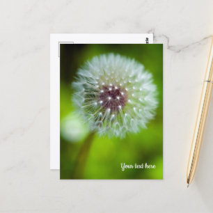 Carte postale Dent-de-lion