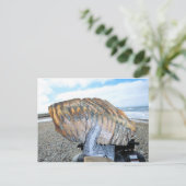 Carte Postale dent mammouth en alaska 09 (Debout devant)