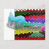 Carte Postale Dentistère (Devant)