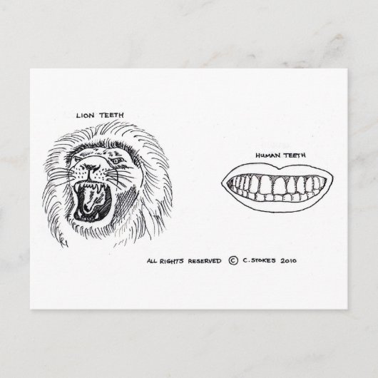 Carte Postale Dents (Devant)