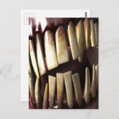 Carte Postale dents (Devant / Derrière)